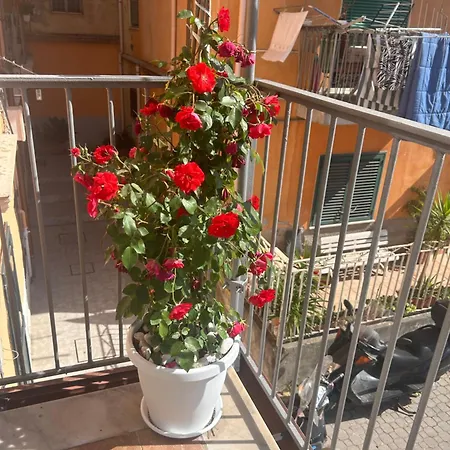 Apartment Sissi House Salerno